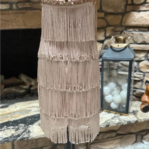 Beautiful Aiden Mattox Tiered Fringe Flapper Dress - Picture 5 of 6